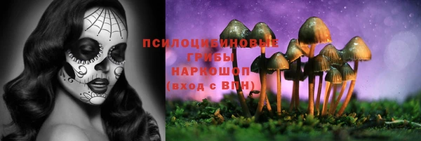 ПСИЛОЦИБИНОВЫЕ ГРИБЫ Абинск