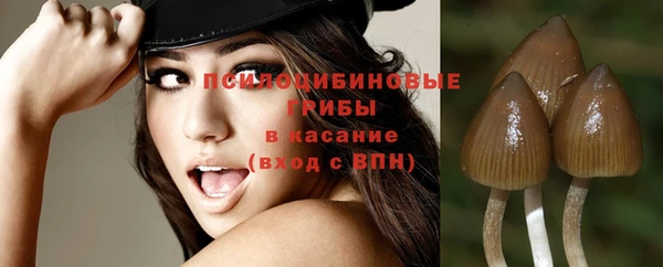 гашиш Абаза