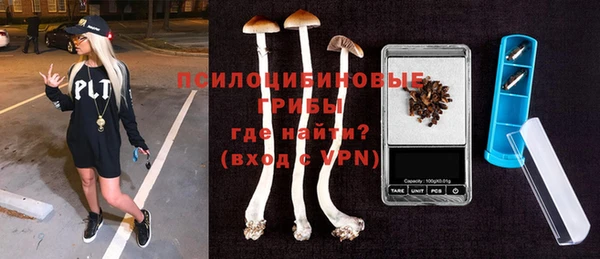 ПСИЛОЦИБИНОВЫЕ ГРИБЫ Абинск