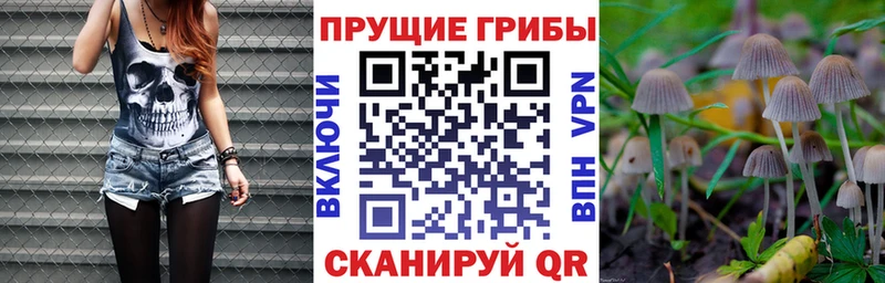 Галлюциногенные грибы ЛСД  МЕГА ссылка  Ишимбай  продажа наркотиков 