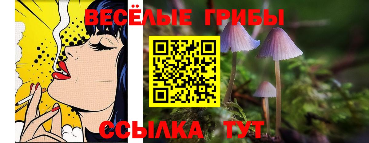 Псилоцибиновые грибы мицелий  наркота  Галлюциногенные грибы Psilocybine cubensis  Ишимбай  Вход с VPN 